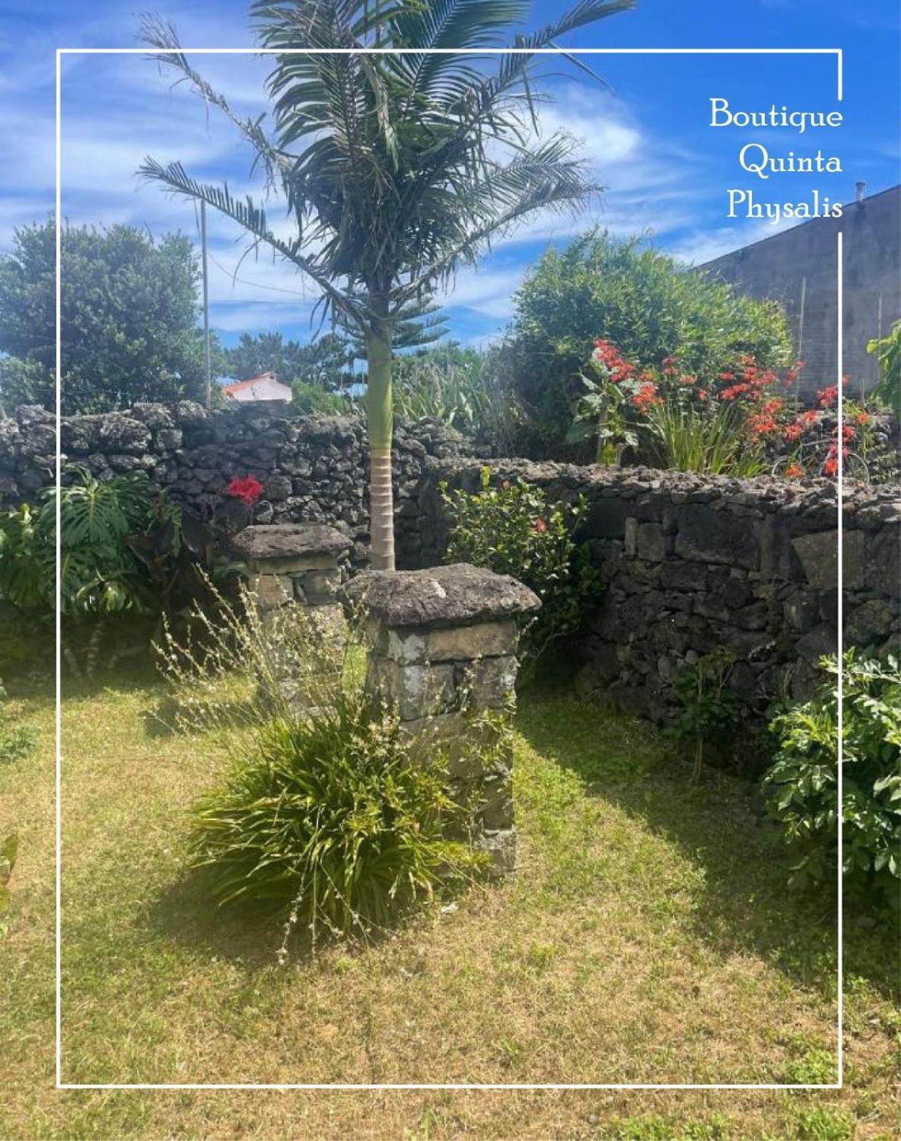 Fenais da LuzBoutique Quinta Physalis公寓 外观 照片